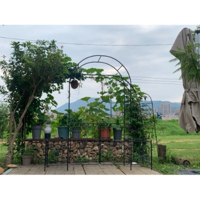 Garden Arch Arbor Trellis For Climbing Plants With Gate, Durable Metal Garden Arch Outdoor Wedding Arch, For Wedding Ceremony Party Plant Climbing Rose Vines Lawn Courtyard Patio Black, 7.15ft