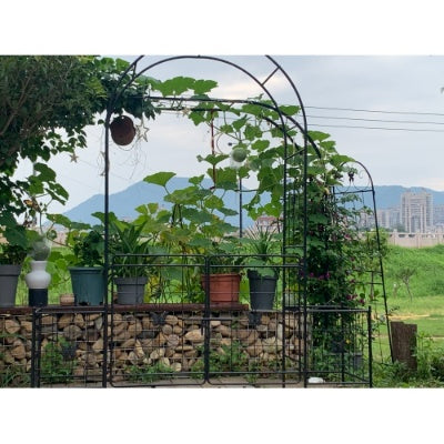 Garden Arch Arbor Trellis For Climbing Plants With Gate, Durable Metal Garden Arch Outdoor Wedding Arch, For Wedding Ceremony Party Plant Climbing Rose Vines Lawn Courtyard Patio Black, 7.15ft